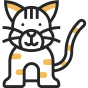 Кошки Кошки