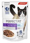 PERFECT FIT "Лосось" для взрослых кошек Здоровье почек 0,65 кг 1х10 шт