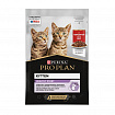 ProPlan, консервированный для котят Говядина в соусе, пауч 85гр.