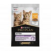 ProPlan, консервированный для котят Курица, пауч 85гр.