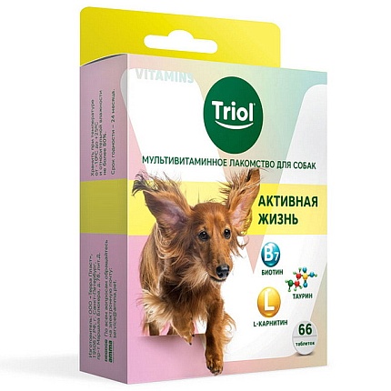 TRIOL Мультивитаминное лакомство для собак "Активная жизнь", 33г