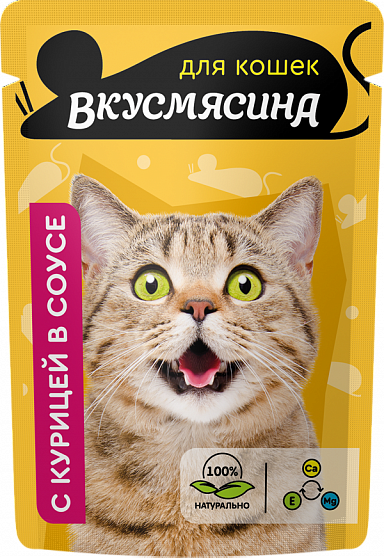 ВКУСМЯСИНА Кусочки Курица Соус для кошек пауч 85 г ВИА